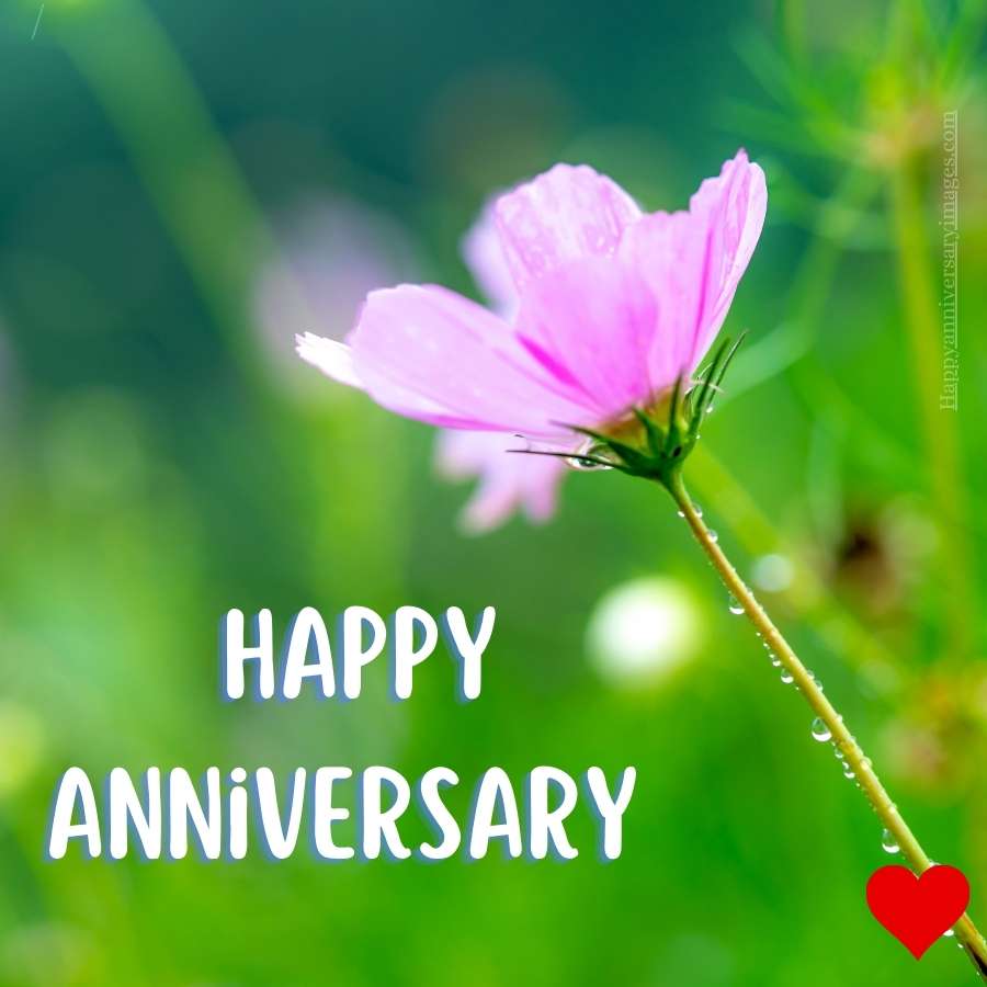 happy anniversary images free