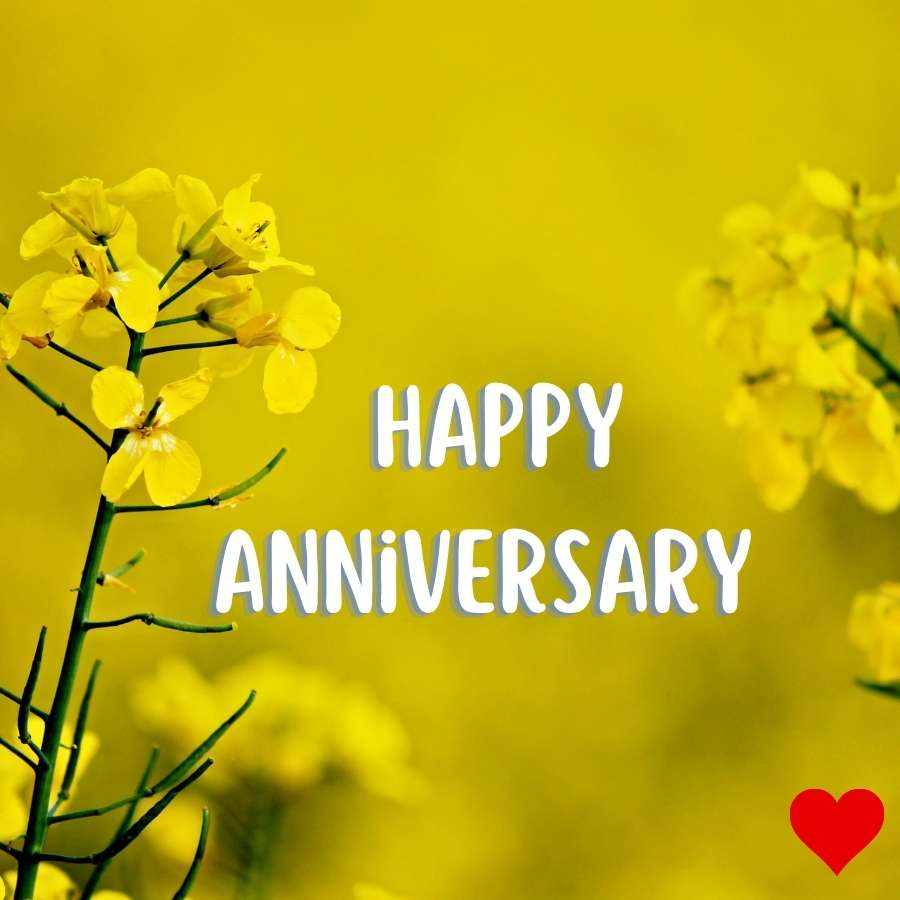 happy anniversary pictures