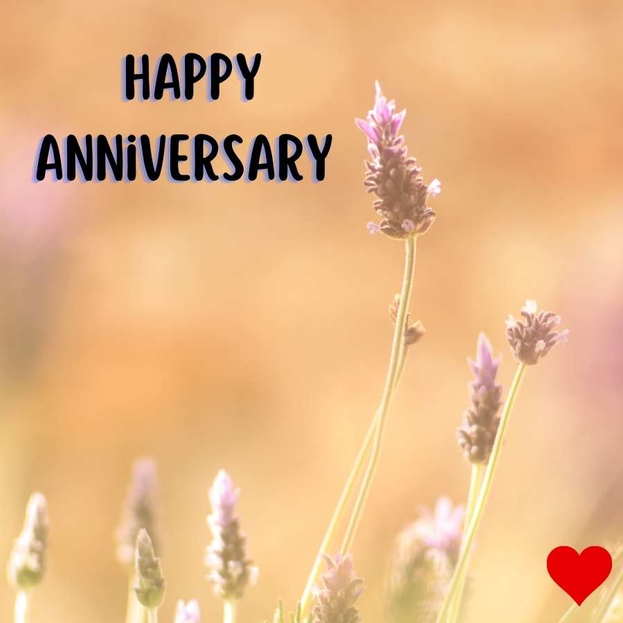 love happy anniversary image