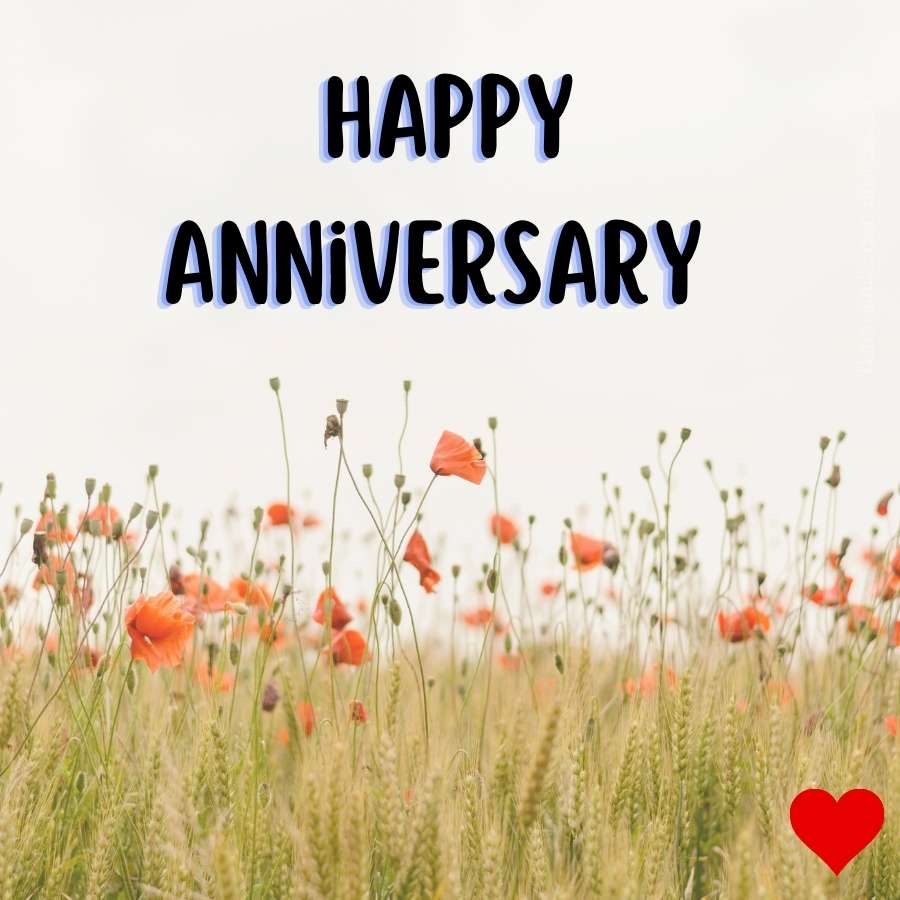 happy anniversary couple images