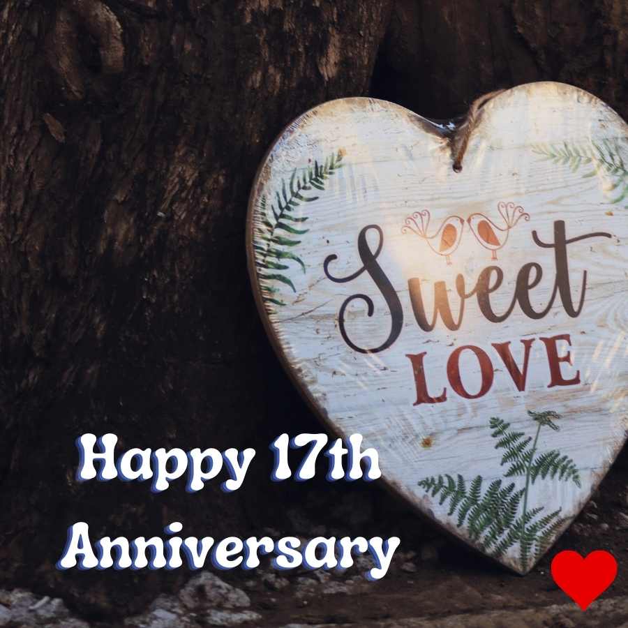 images for 17th anniversary
