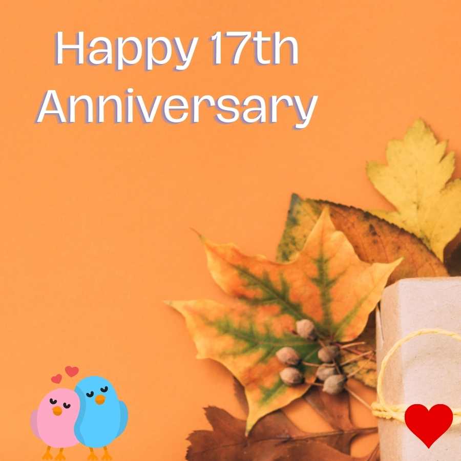 17th wedding anniversary pics