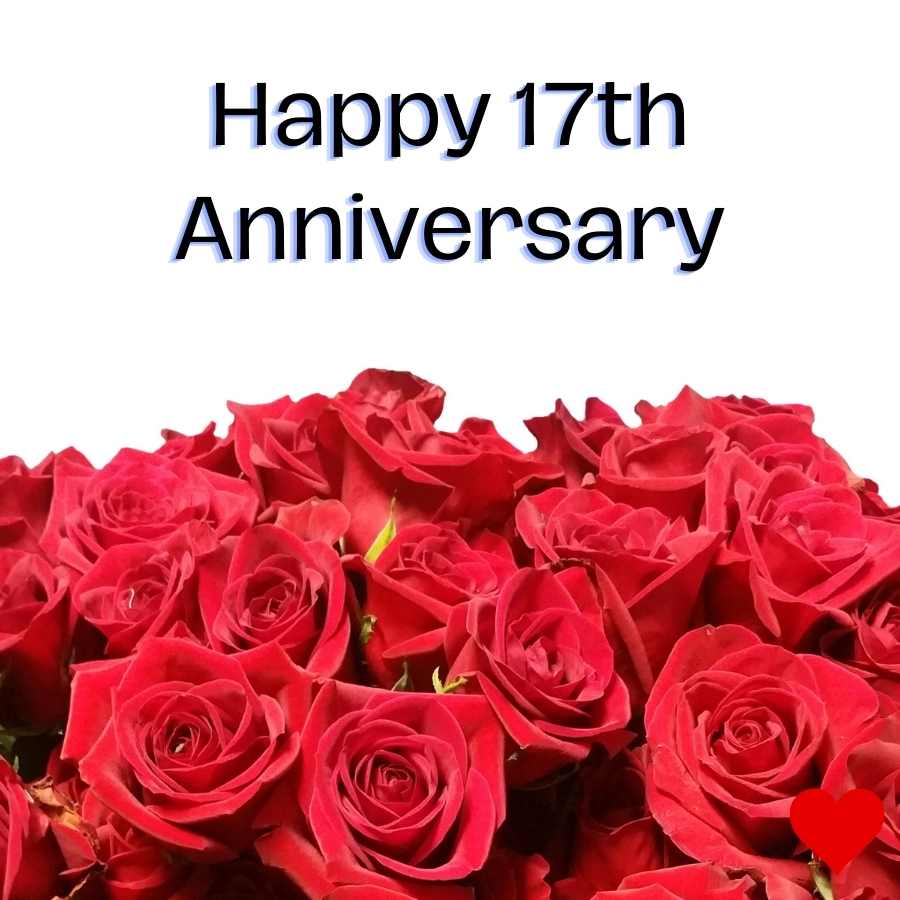 happy 17th marriage anniversary