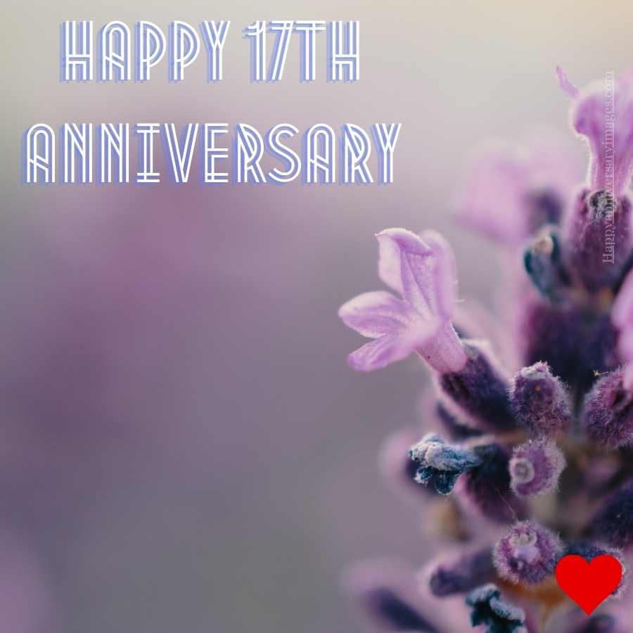 happy 17th anniversary image