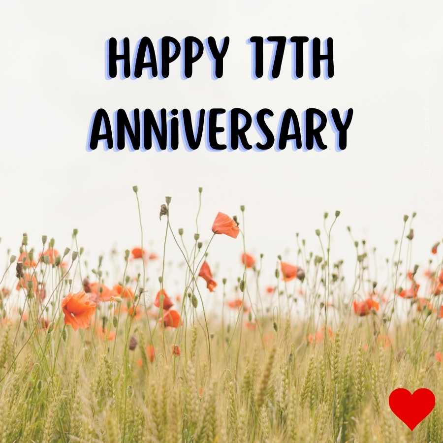17th anniversary photos