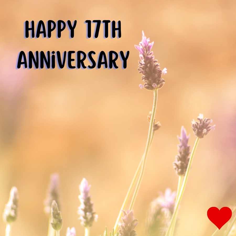 happy 17th year anniversary images