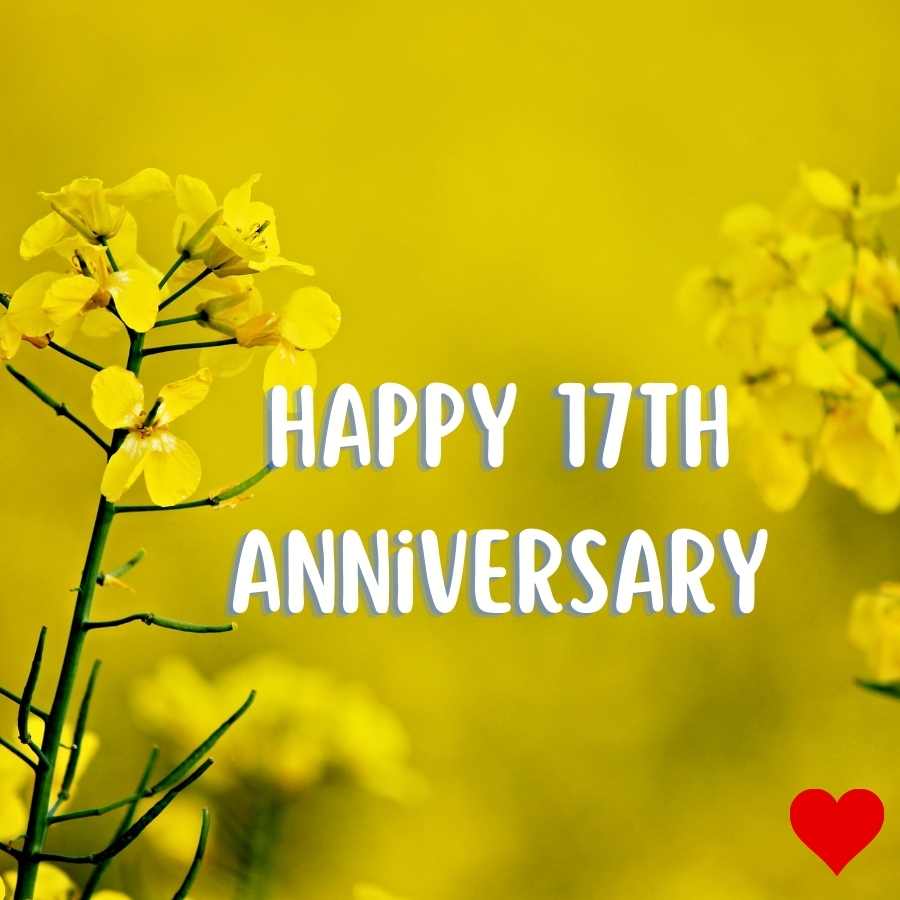 happy 17th anniversary wishes images