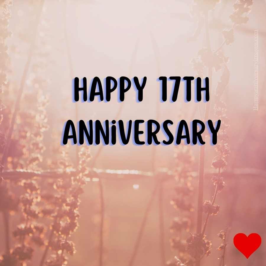 happy 17th anniversary to my husband