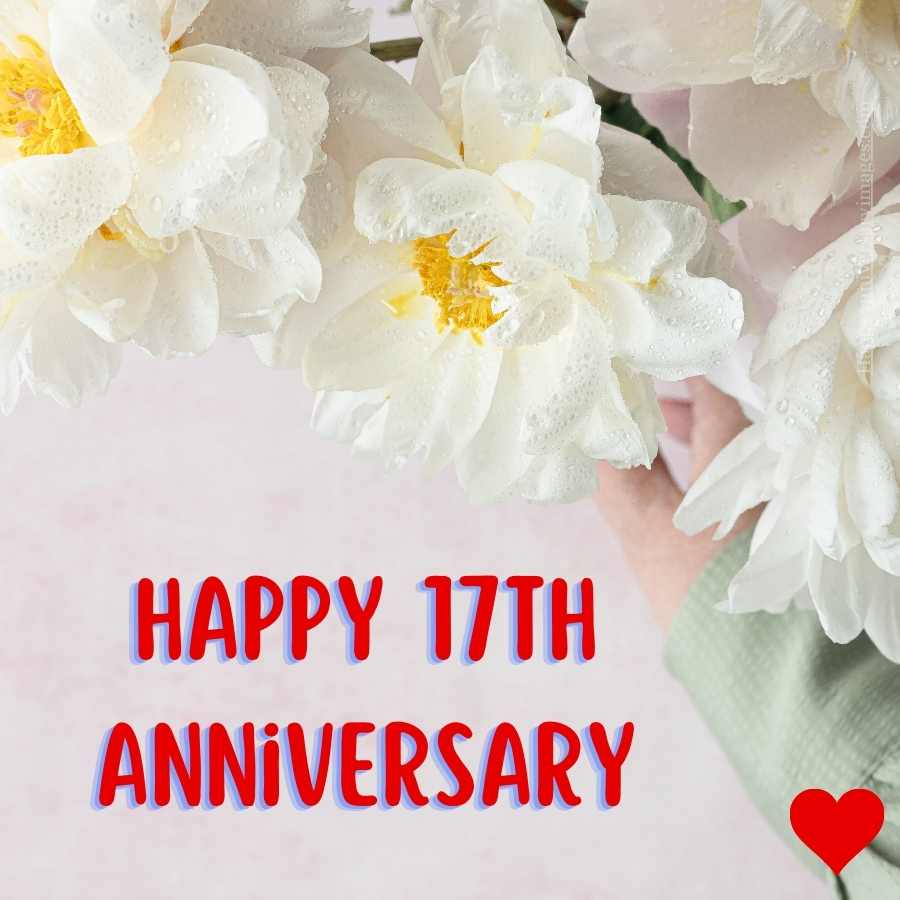 happy 17th anniversary for wife