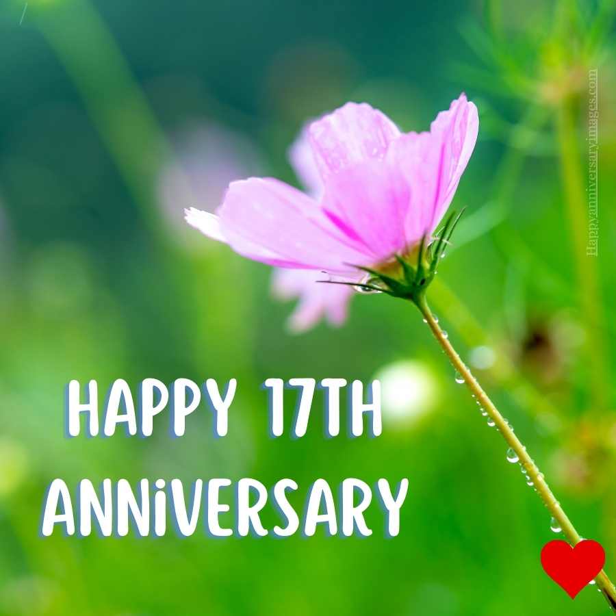 happy 17th anniversary for her