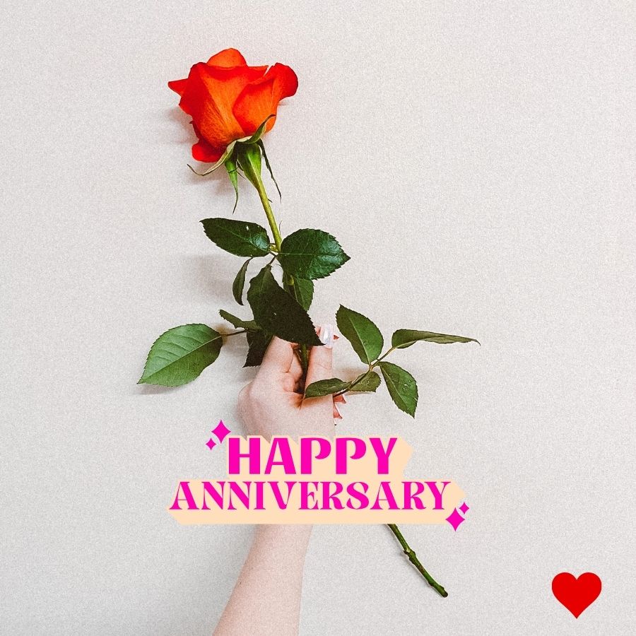 Happy Anniversary Image with rose