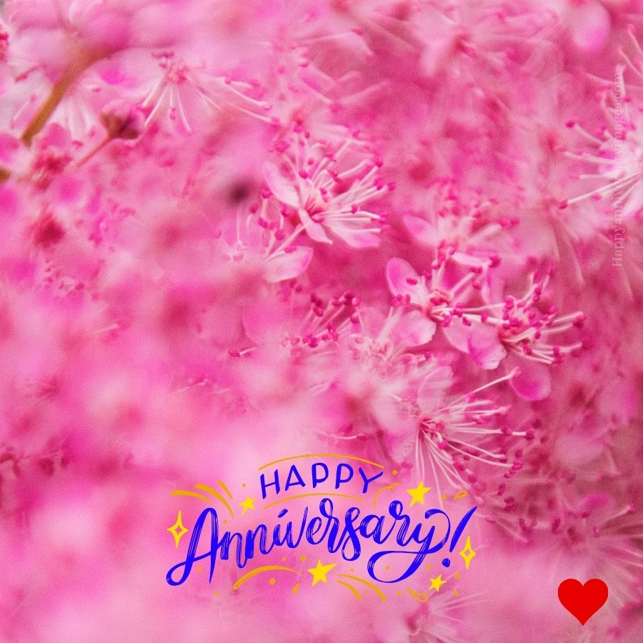 happy anniversary images for whatsapp