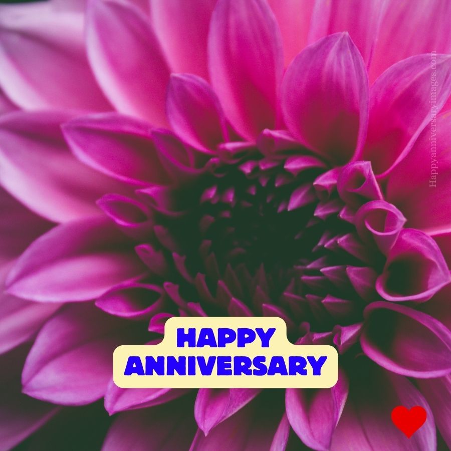 happy anniversary images for whatsapp download