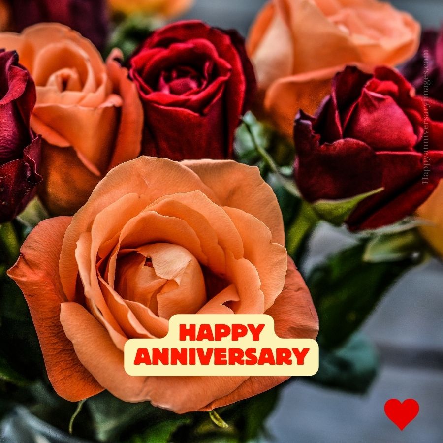 images happy anniversary