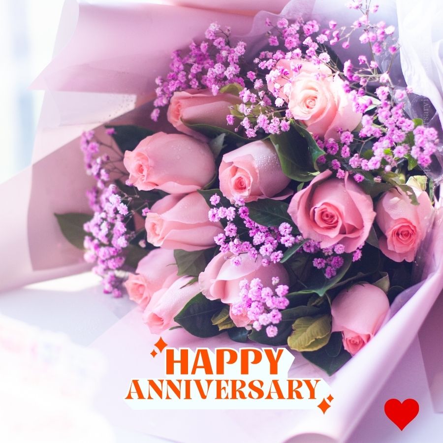 free anniversary image with pink rose