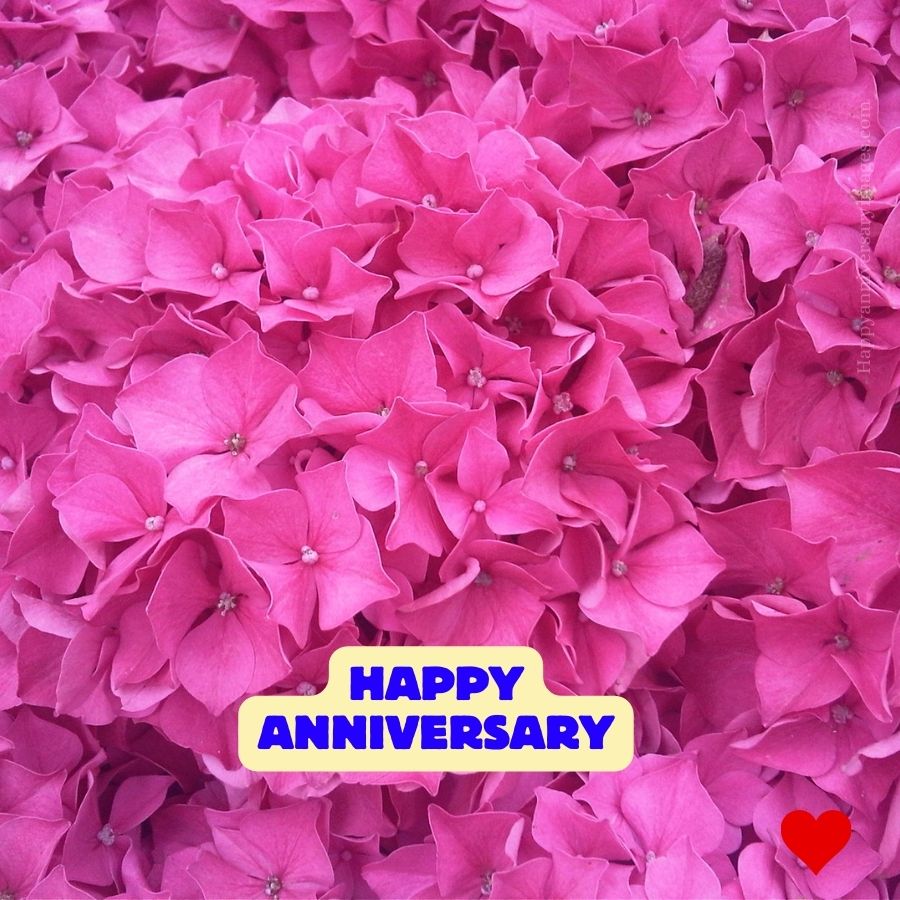 happy anniversary couple images