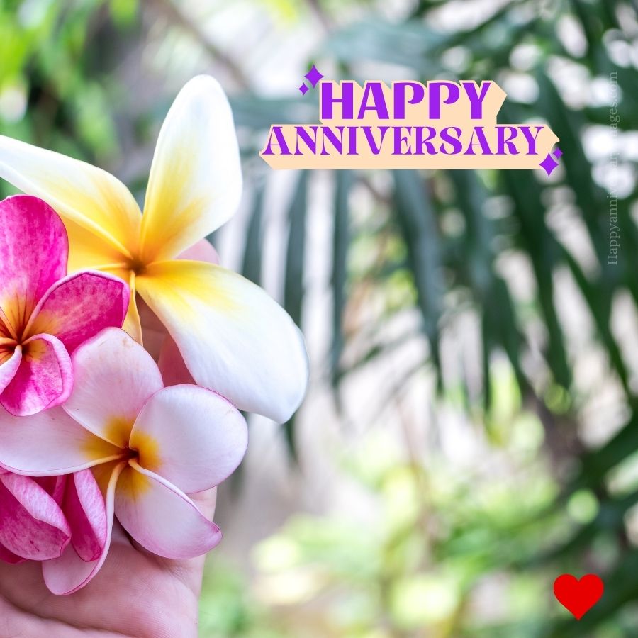 anniversary pictures