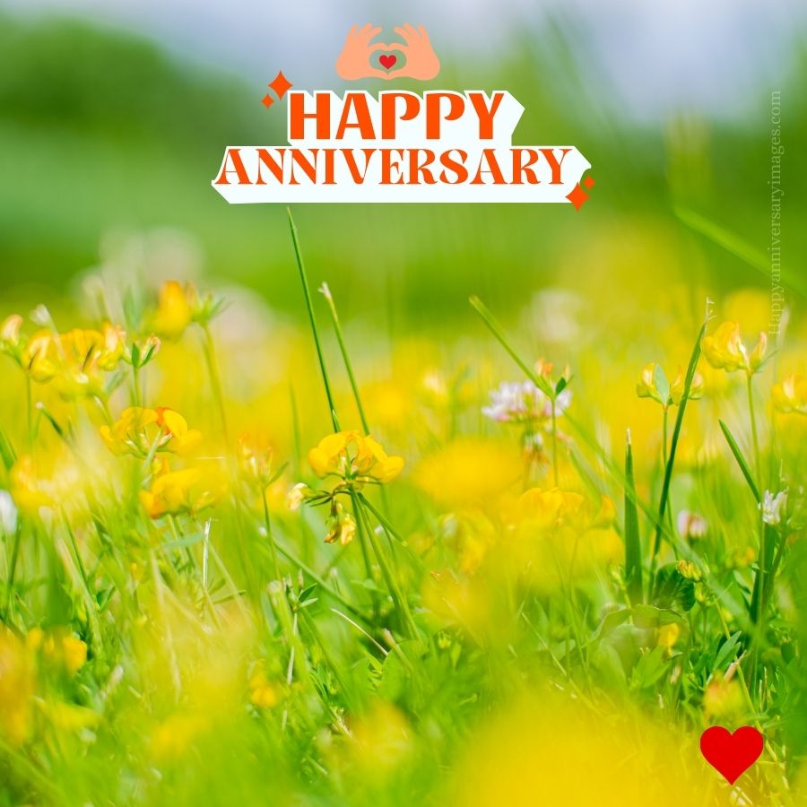 happy anniversary image for wife