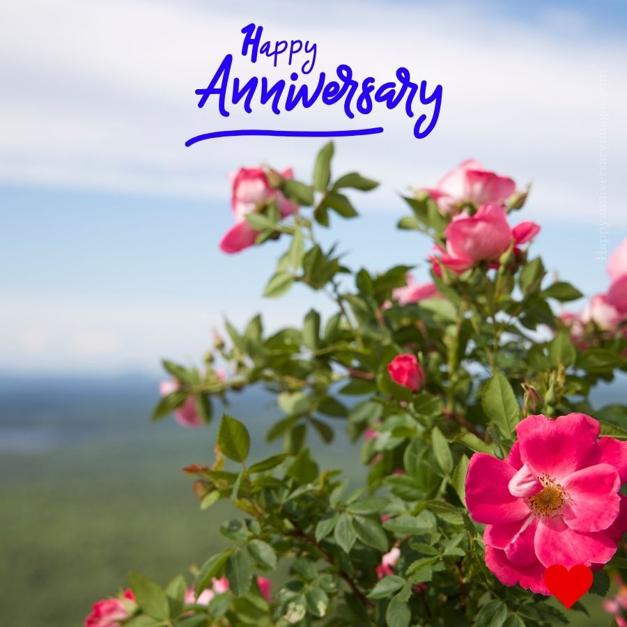 happy anniversary husband images