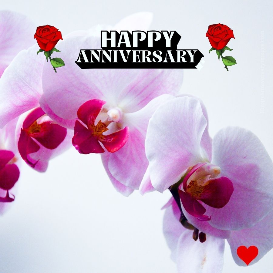 wedding anniversary images