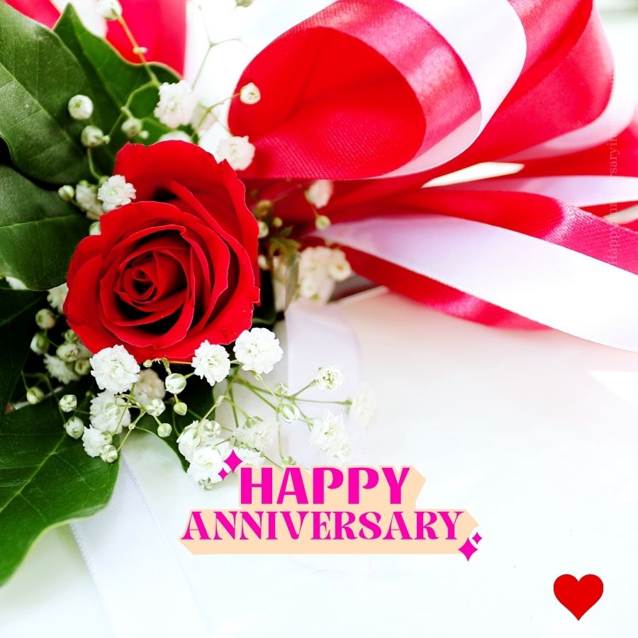 Anniversary image with red rose