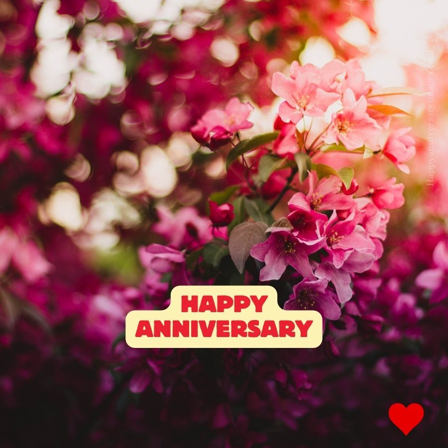 happy anniversary pic
