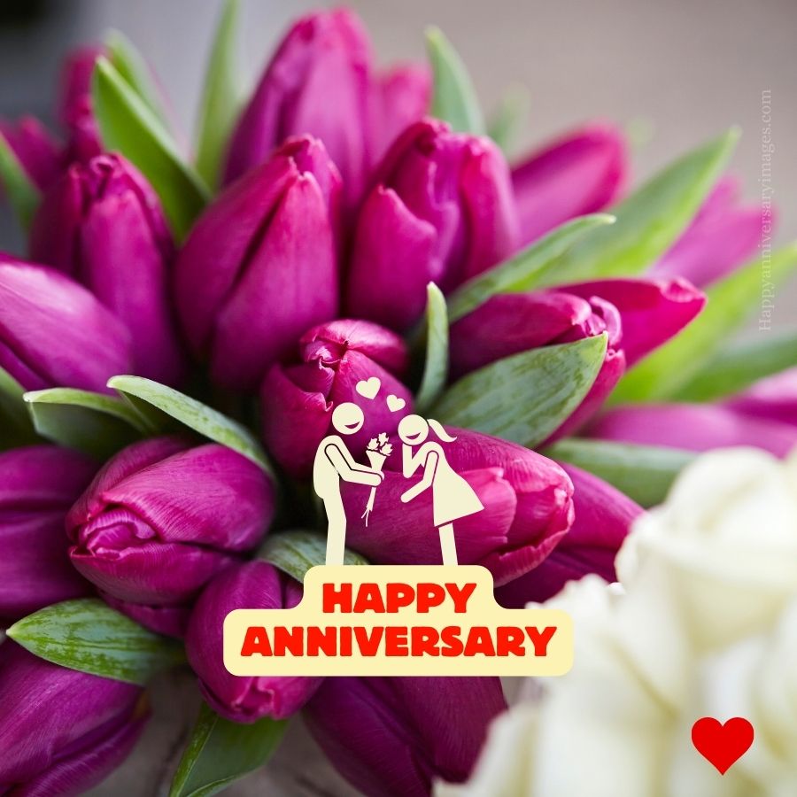 special couple happy anniversary