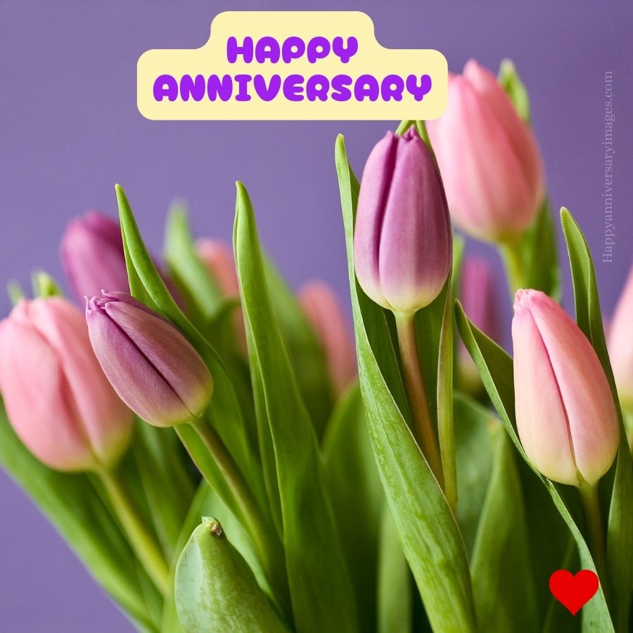 image happy anniversary
