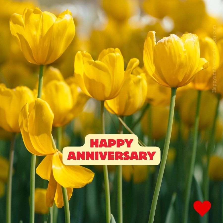 wedding anniversary images