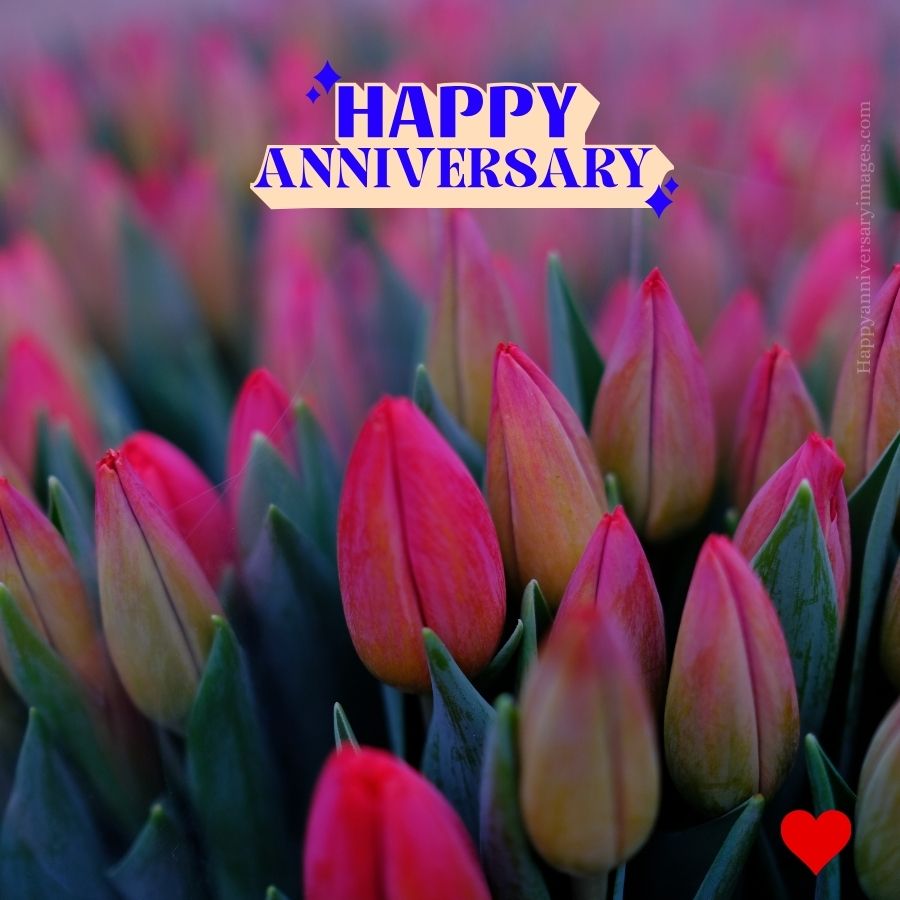 marriage anniversary hd images download for WhatsApp