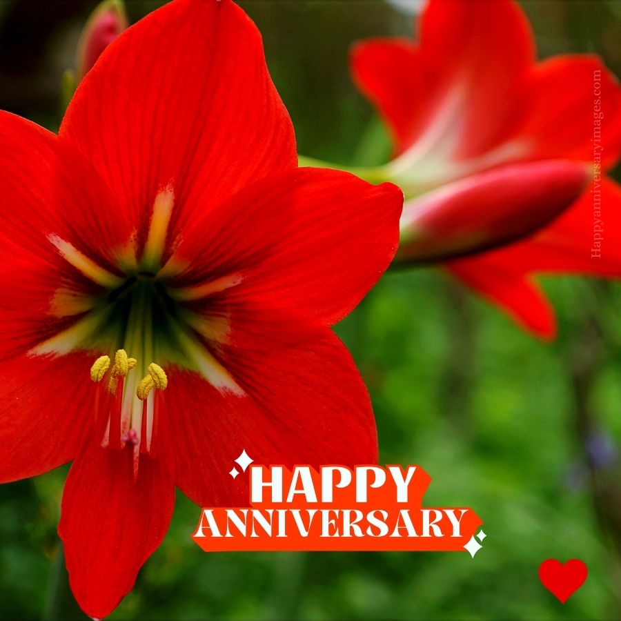 free wedding anniversary wishes with photo